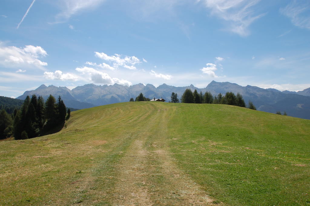 Cimon Dolomites Hotel Predazzo Extérieur photo