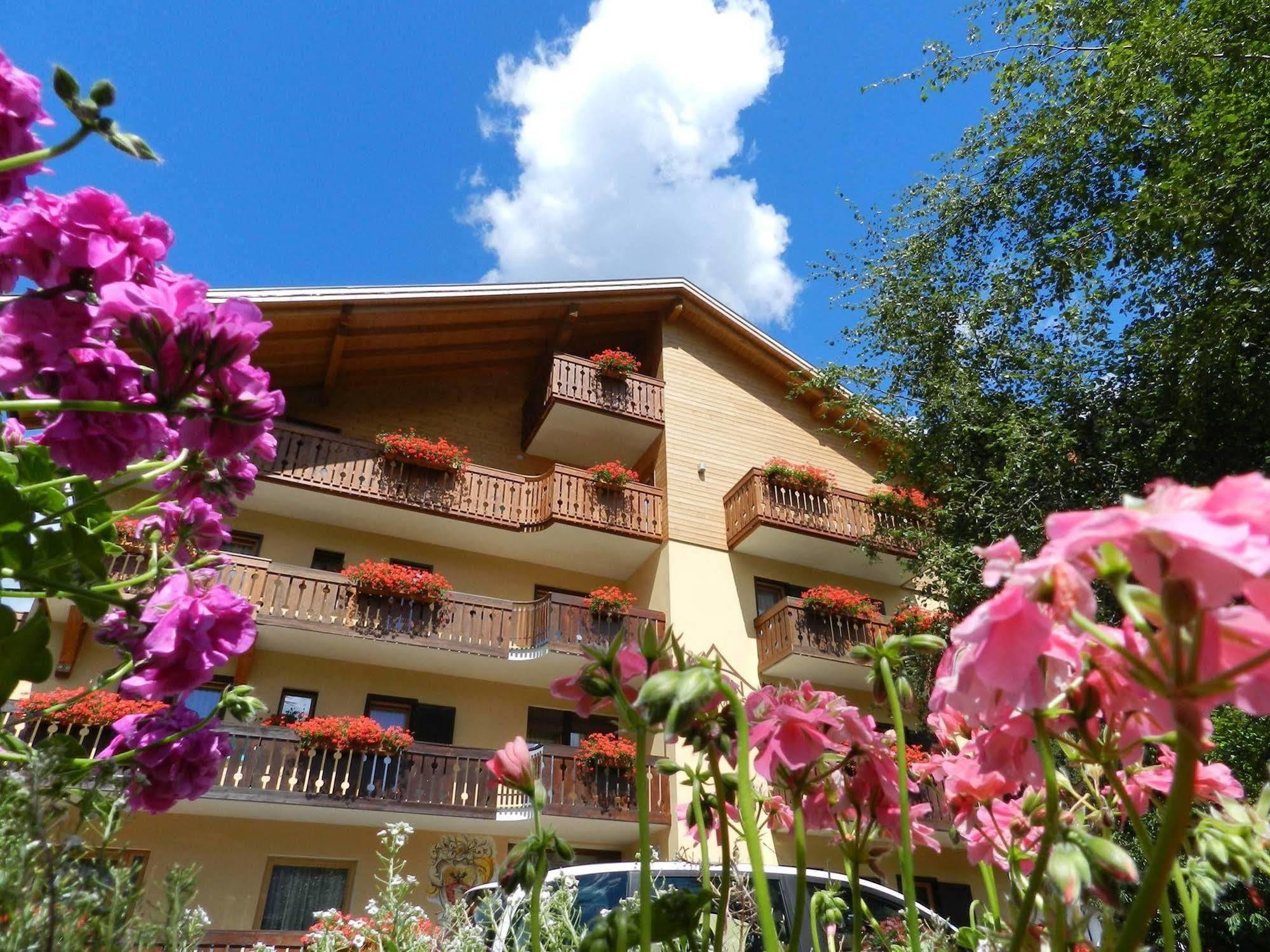 Cimon Dolomites Hotel Predazzo Extérieur photo